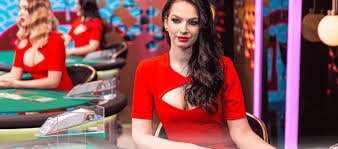 ক্যাসিনো গেমের নিয়ম ও কৌশল শেখার গাইড